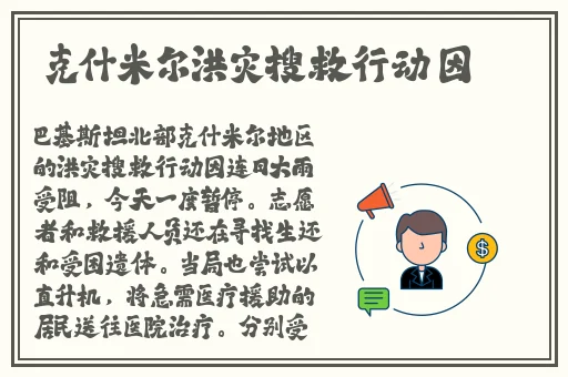 国产毛豆3与进口版区别